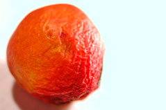 The Smallest Nectarine - 1